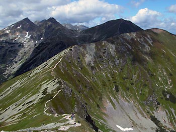 Roháče 2007