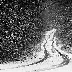 Brdy 2016