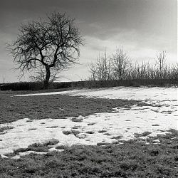 Kakejcov - příchod jara