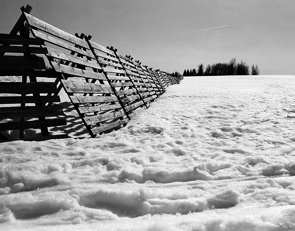 Nové Hutě - větrolamy