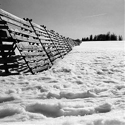 Nové Hutě - větrolamy