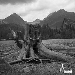 Štrbské pleso