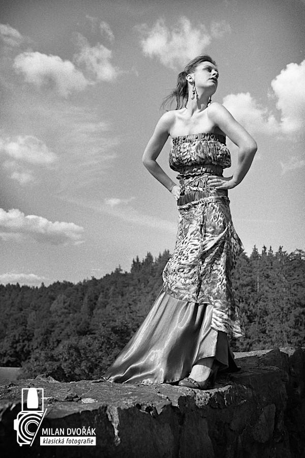 Kladruby - fashion II.
